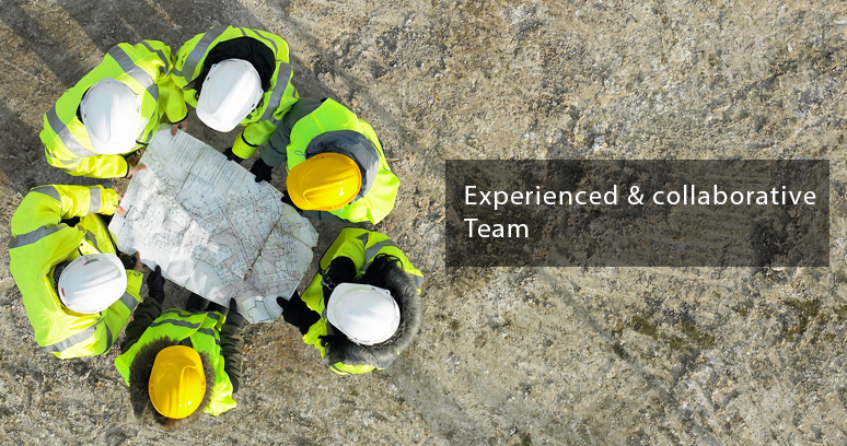 Experienced and Collaborative Team